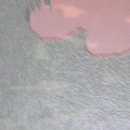 목동신정형외과의원 이미지