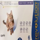 새김천약국 이미지