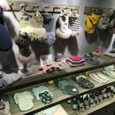 강남애견백화점 이미지