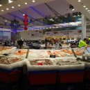 로얄피시 이미지