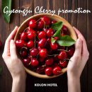 체리호텔 이미지