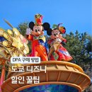 주식회사 위라이드 | 도쿄 디즈니랜드 DPA 티켓 구매 방법 입장권 가격 할인 꿀팁 후기 일본여행지