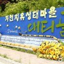 자연치유생태마을대티골사람들