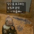 고모저수지 | 포천 나들이｜욕쟁이할머니집 고모저수지 둘레길 주파크실내동물원 방문 후기