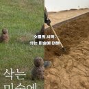 코끼리물산 | 서울 종로 국립현대미술관 전시회, 소멸의 시학: 삭는 미술에 대하여