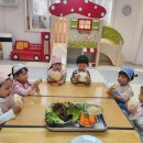 두리어린이집 | 경산시어린이집 두리사랑 어린이집과 함께한 행복한 여정