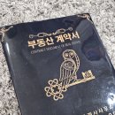 청년전용 버팀목 전세자금 HF 증액 후기 목적물 변경 서류 모바일 진행과정