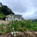 숲속의 하얀집 이미지