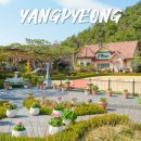 개밥주는고양이 | 양평 가볼만한곳 더그림 대형 카페 나는솔로촬영지 서울근교 데이트코스