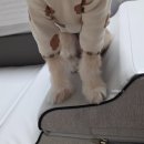 라이트스텝스 네이버블로그