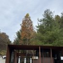 모과목장 | 사유원 후기