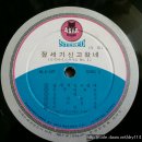 강산금박