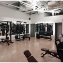 피티스튜디오 건강한 사람들 이미지