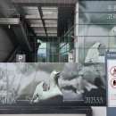 [국립중앙박물관] 푸른 세상을 빚다, 고려 상형청자 특별전 관람 후기