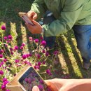 스마트폰사진촬영과 편집 | 안성 미리내성지 스마트폰 사진 촬영 영상 편집 현장 학습 가을 나들이 산책 가빈쌤교실밖수업