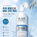 파워 앤 영양 | 블랙포레 루트파워 쿨앤딥클린 샴푸 사용 후기