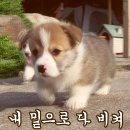스시인 - 남구 | 스시인