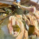 전주 평화동 백숙 맛집 진한 국물과 산양산삼 통째로 보양식은 산야초백숙송해정