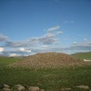 멍근멍근 이미지