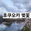 써치백투어 이미지