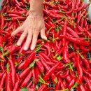 한근농장 이미지