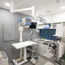 그루동물병원 이미지