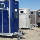 스타티앤비 이미지