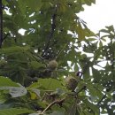 청수14로 이미지