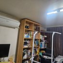 강남구폐기물 역삼동|오랜시간 방치된 가정생활 쓰레 수거 후기-서초ㆍ강동 당일수거 가능