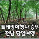 영광기사식당 | 전남 당일 여행 함평 용천사 영광 불갑사 꽃무릇(상사화) 트레킹 승우여행사