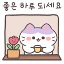 루비펫살롱 이미지