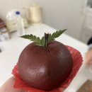 대구의 성심당, 수형당의 사과빵 대구능금빵 후기 (가격, 파는 곳)