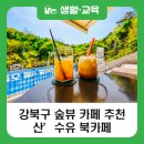 신흥동 마을공동체지원센터 이숲 북카페 | 서울 강북구 숲뷰 카페 추천, 새단장 마친 산'수유 북카페