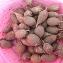 현율농장 이미지