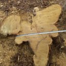 은평-026 이미지