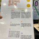 201헤어 이미지