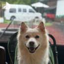 보경쉼터 이미지