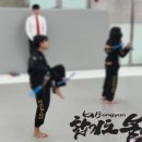 합기도 봉연관 신촌도장 이미지