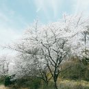 조은주유소 이미지