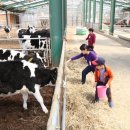 사랑목장 이미지