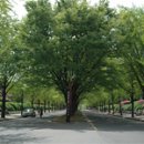 보라매공원 이미지