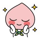 피디디에스 이미지