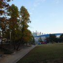 종합체육관 이미지