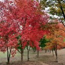 오정대공원 이미지