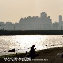 알리미술