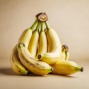 포드짐 남산점 이미지