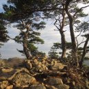 청량산유림길 중앙일보