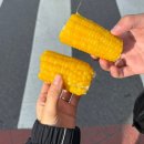 망원 맛집 원당 가마솥 찰옥수수 망원시장 가성비 먹거리 추천