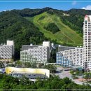 휘닉스 대중골프장 이미지