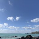 제주도게스트하우스협재정류장 | 제주 소규모 게하추천 포틀럭 있는 소규모 게스트하우스 추천